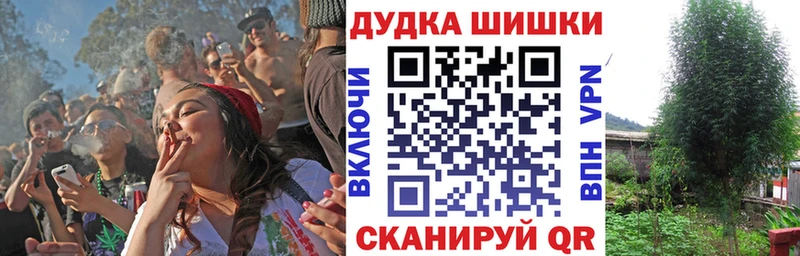 Магазины продажи наркотиков Балахна Марихуана  КОКАИН  Псилоцибиновые грибы  СК  Мефедрон  ГАШ 