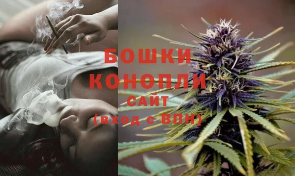гидра Баксан